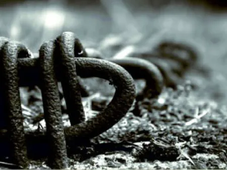 Les bétons à hautes performances (BHP)