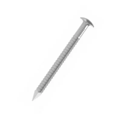 Pointe annelée tête bombée - Inox A2 D=2.3mm, L=40mm, CDT1KG - ARA22.3X45 - Réf. 75032