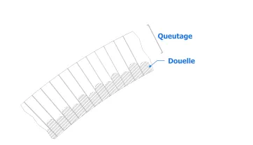 Coupe YY de la voûte